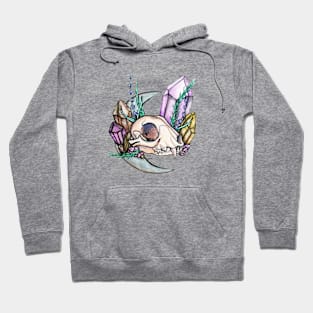 Skull and Crystal Hoodie